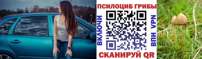 даркнет сайт  Карабаш  Галлюциногенные грибы GOLDEN TEACHER 